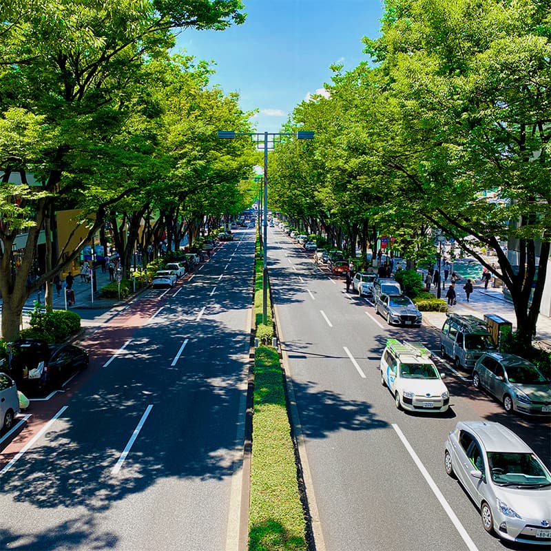 Omotesando