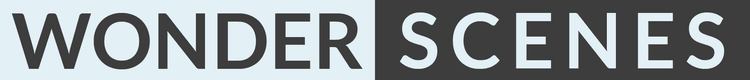 Wonder Scenes logo