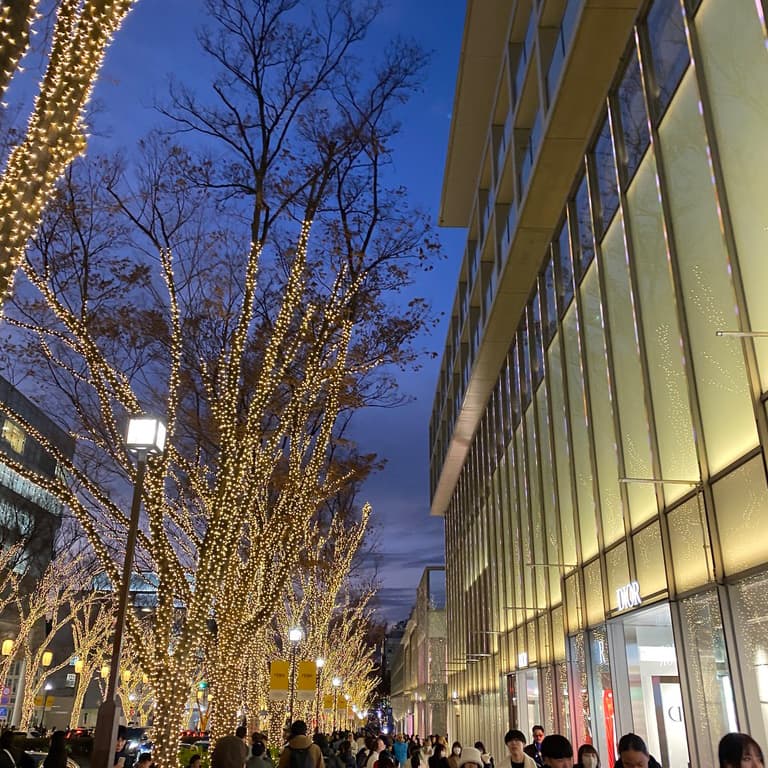 Omotesando Winter Lighting