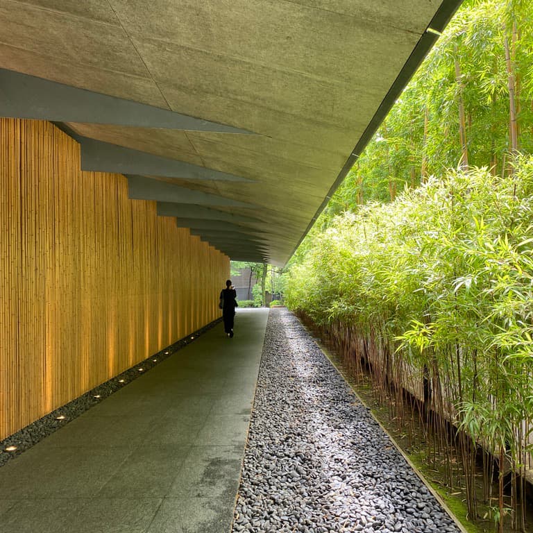 Nezu Museum Bamboo Entrance