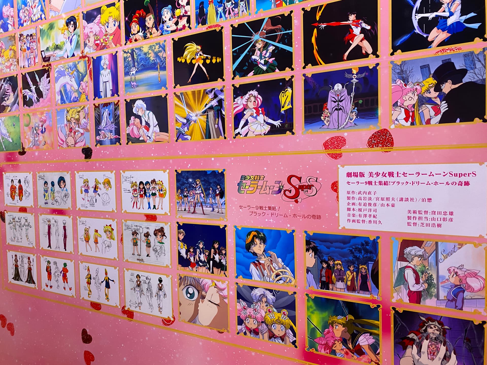 Sailor Moon Museum Anime Character Design Display