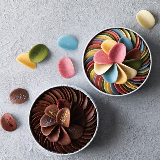 Tokyo Station Shodai Bio Nature Chocolate Petals