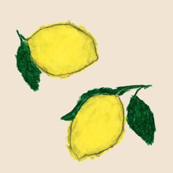 Yusuke Yonezu Lemons