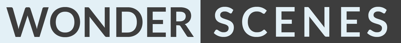 Wonder Scenes logo